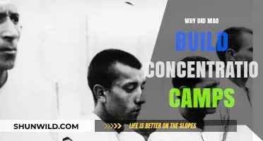Mao's Concentration Camps: Origins, Purpose, and Historical Context Explained