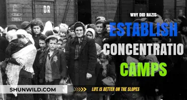 The Dark Origins of Nazi Concentration Camps: A Historical Analysis