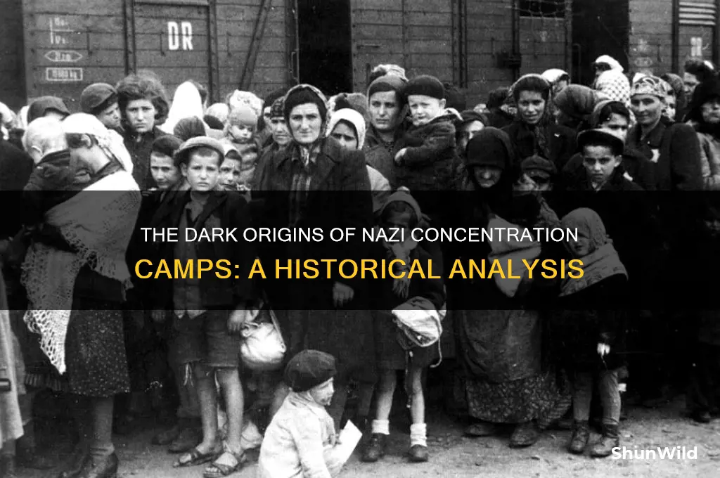 why did nazis establish concentration camps