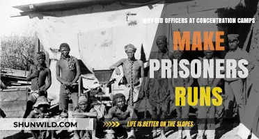 The Brutal Reality: Forced Prisoner Runs in Concentration Camps Explained