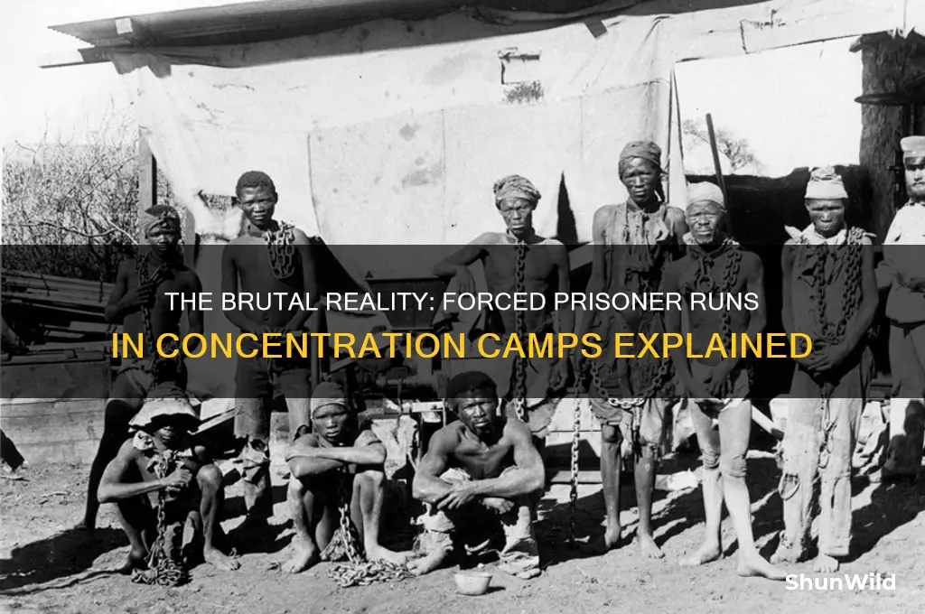 why did officers at concentration camps make prisoners runs