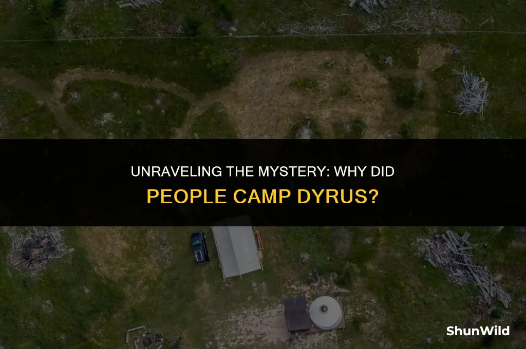why did people camp dyrus