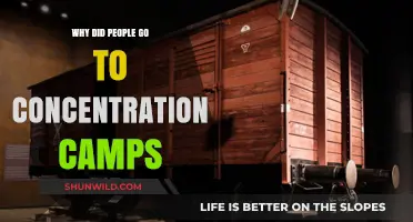 Understanding the Forced Deportation to Concentration Camps During the Holocaust