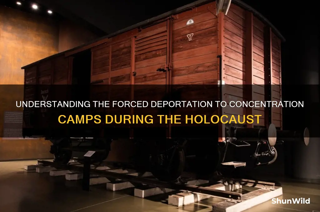 why did people go to concentration camps