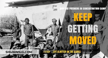 The Constant Relocation of Concentration Camp Prisoners: Unraveling the Reasons