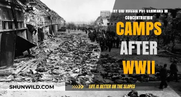 Russia's Post-WWII German Internment: The Forgotten Camps and Reasons