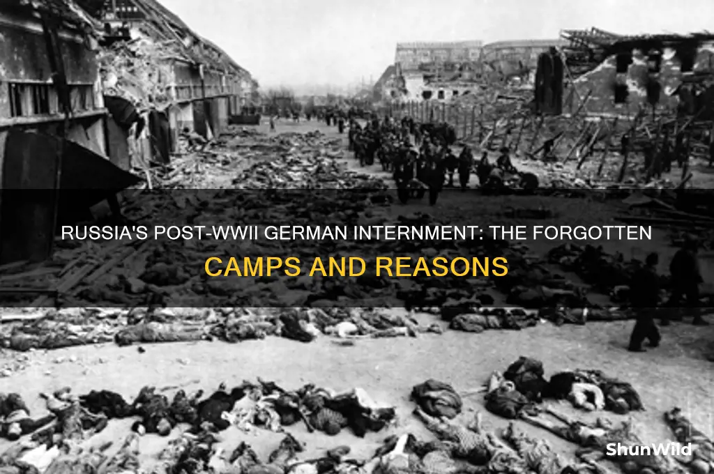 why did russia put germans in concentration camps after wwii
