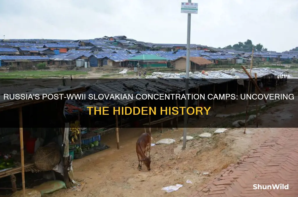 why did russia put slovakians in concentration camps after wwii
