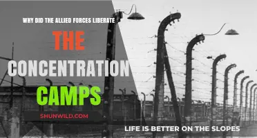 Liberating the Camps: Allied Forces' Mission to End Nazi Atrocities