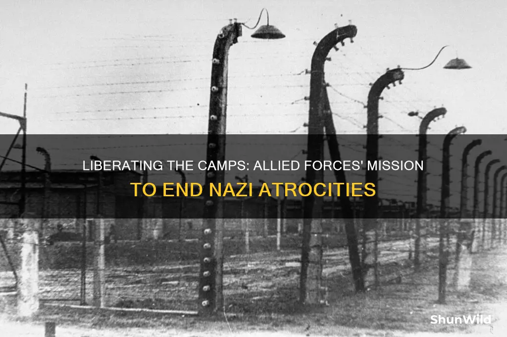 why did the allied forces liberate the concentration camps