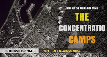 Why Allies Skipped Bombing Concentration Camps: Strategic Choices Explained