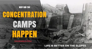 Understanding the Dark History: Why Concentration Camps Happened