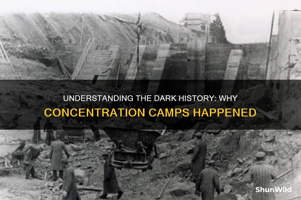 why did the concentration camps happen