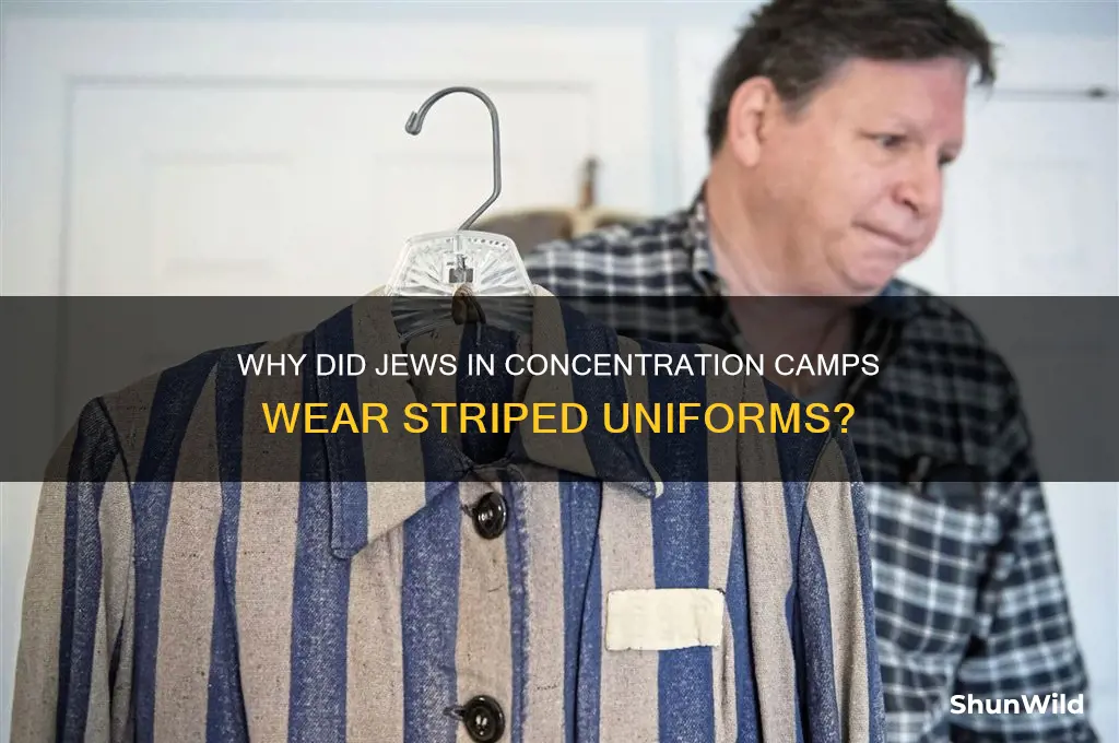 why did the jew in concentration camps wear stripes