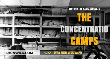 Nazi Camp Evacuations: Unraveling the Desperate Final Moves of 1945