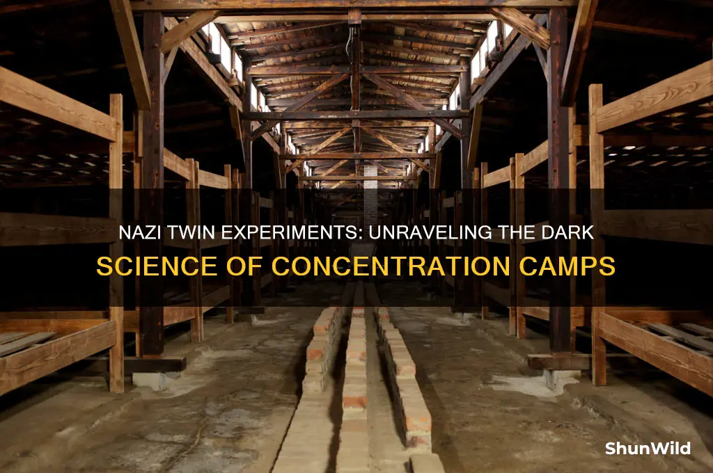 why did the nazis experiment on twins in concentration camps