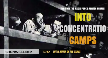 Nazi Persecution: The Brutal Reality of Jewish Concentration Camps
