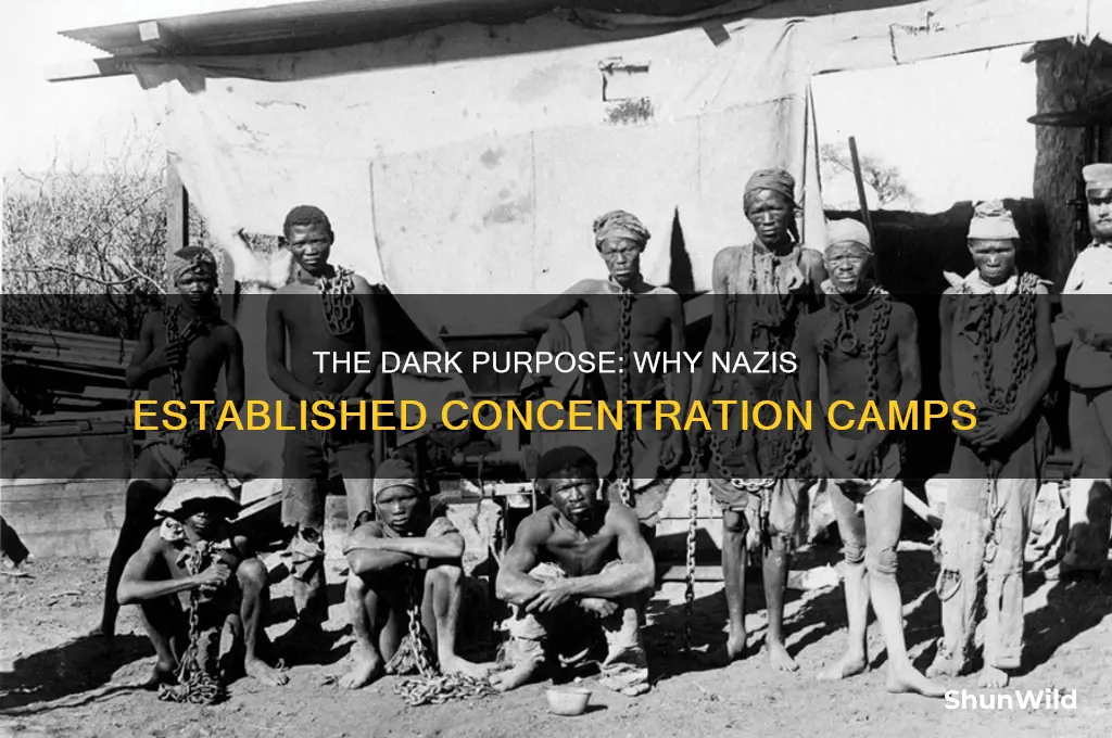 why did the nazis use concentration camps