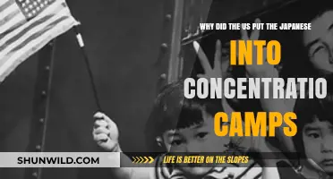 The Dark History of Japanese American Incarceration During WWII