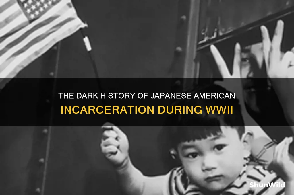 why did the us put the japanese into concentration camps