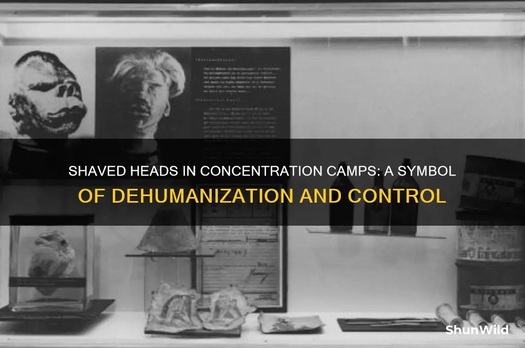 why did they shave heads in concentration camps