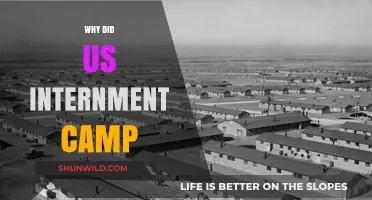 Unveiling the Dark History: Why Did the US Internment Camps Exist?