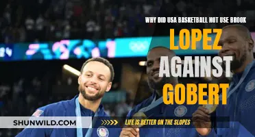 USA Basketball's Snub: Brook Lopez vs. Gobert