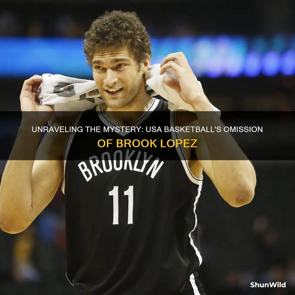 why did usa basketball not use brook lopez