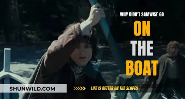 The Unseen Fate of Samwise: A Choice Explored