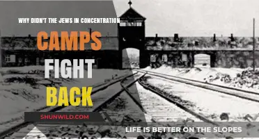 Why Didn't Jews in Concentration Camps Resist? Unraveling the Silence
