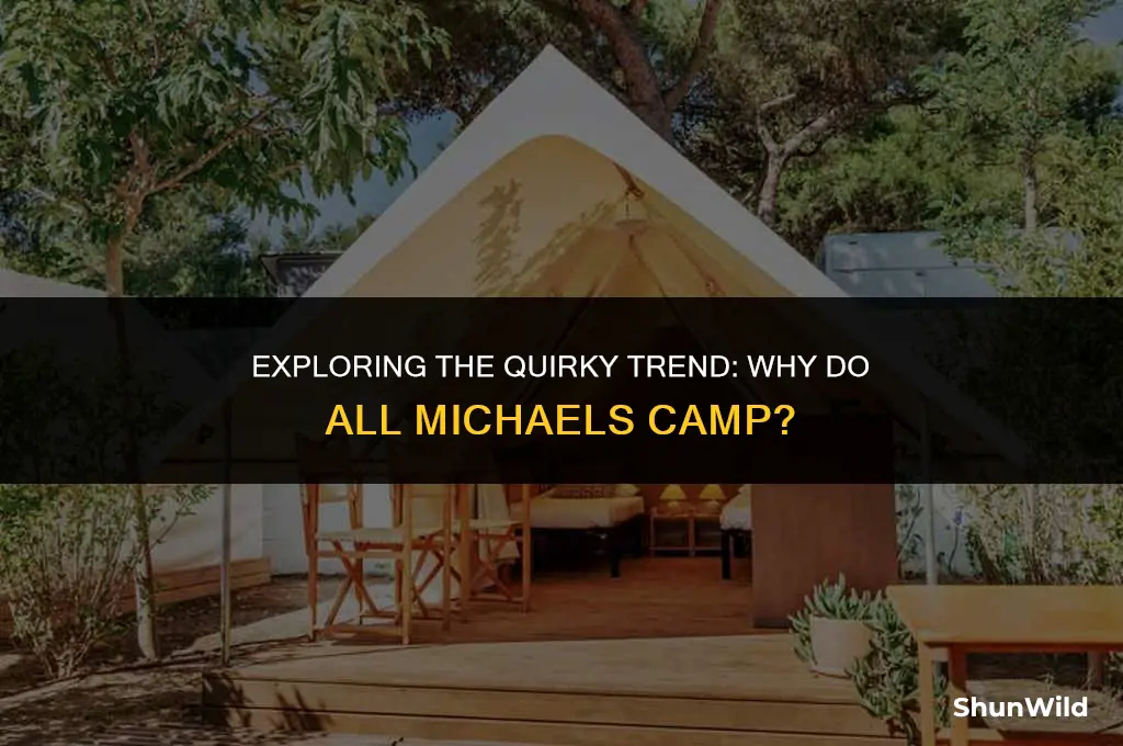 why do all michaels camp