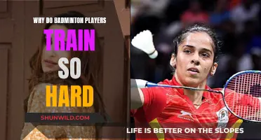 Badminton Players: Training for Perfection