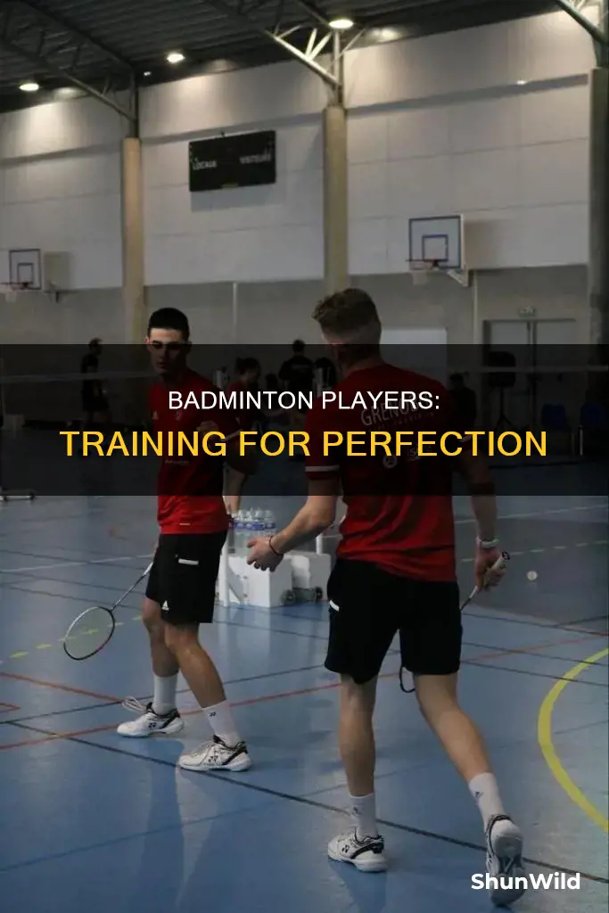 why do badminton players train so hard