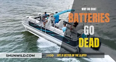 Boat Batteries Dying: What's the Reason?