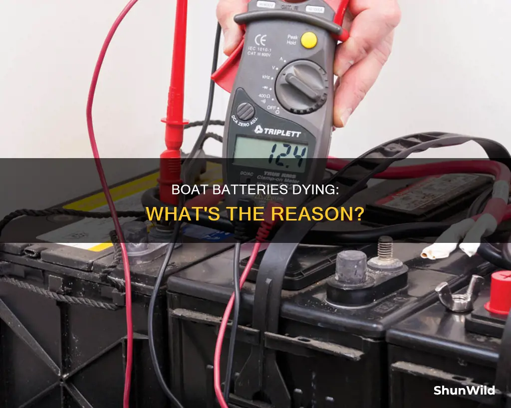 why do boat batteries go dead