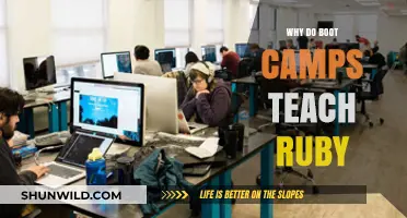 Why Boot Camps Favor Ruby: A Beginner-Friendly Coding Language