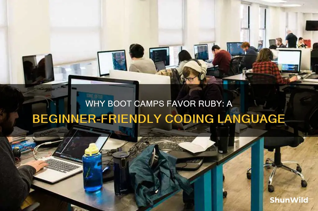 why do boot camps teach ruby