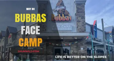 Unveiling the Mystery: Why Bubbas Face Camp Explained
