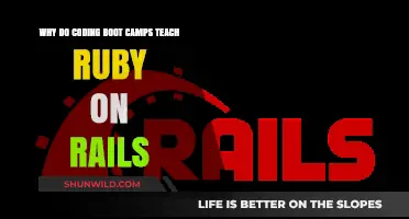 Why Coding Boot Camps Favor Ruby on Rails for Beginners