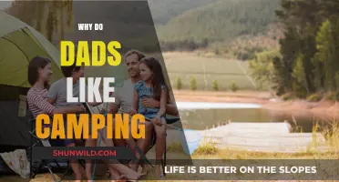 Embracing the Great Outdoors: Why Camping Captivates Dads Everywhere