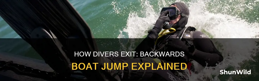 why do divers go backwards off a boat