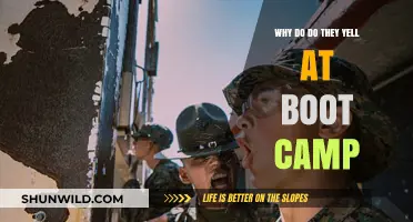 Why Drill Sergeants Yell: The Psychology Behind Boot Camp Intensity