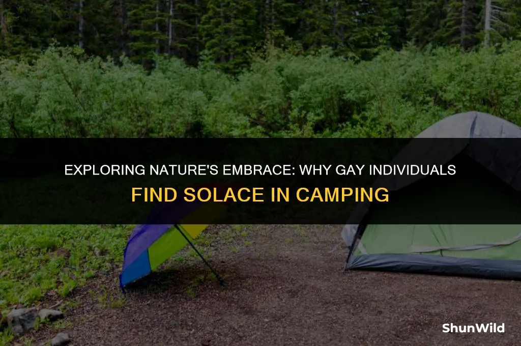 why do gays like camping
