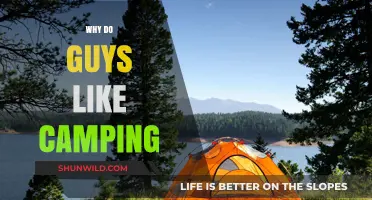 Exploring the Great Outdoors: Why Camping Appeals to Many Guys