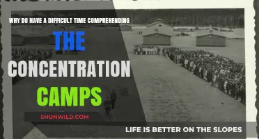 Unraveling the Complexity: Understanding Our Struggle with Concentration Camps