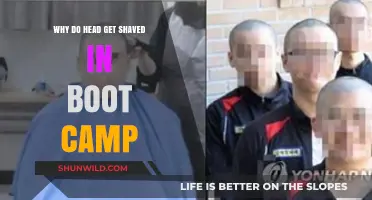 Why Boot Camps Shave Heads: Tradition, Unity, and Discipline Explained