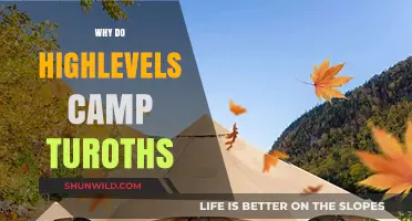 Exploring the Reasons Behind High-Level Players Camping Turoths