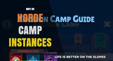 Unraveling the Mysteries: Horde Camp Instances Explained