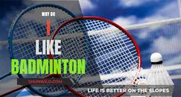 Badminton: My Favorite Sport Passion