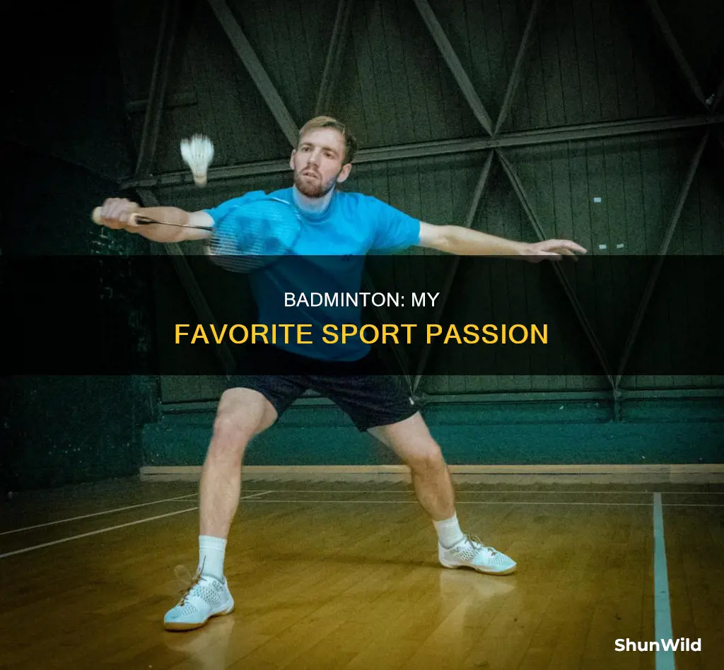 why do i like badminton